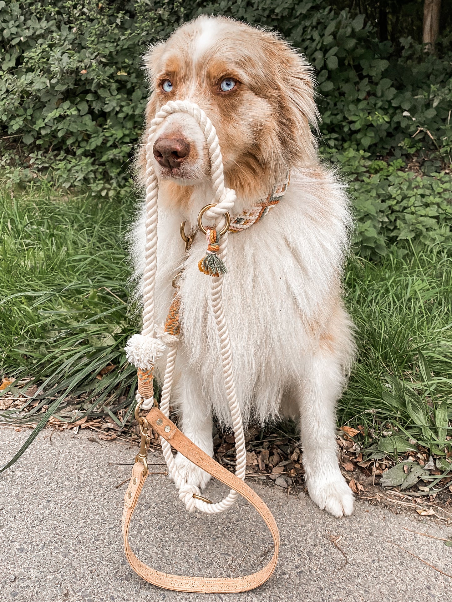 Korkypaws Kork-Baumwollset „Boholiebe“