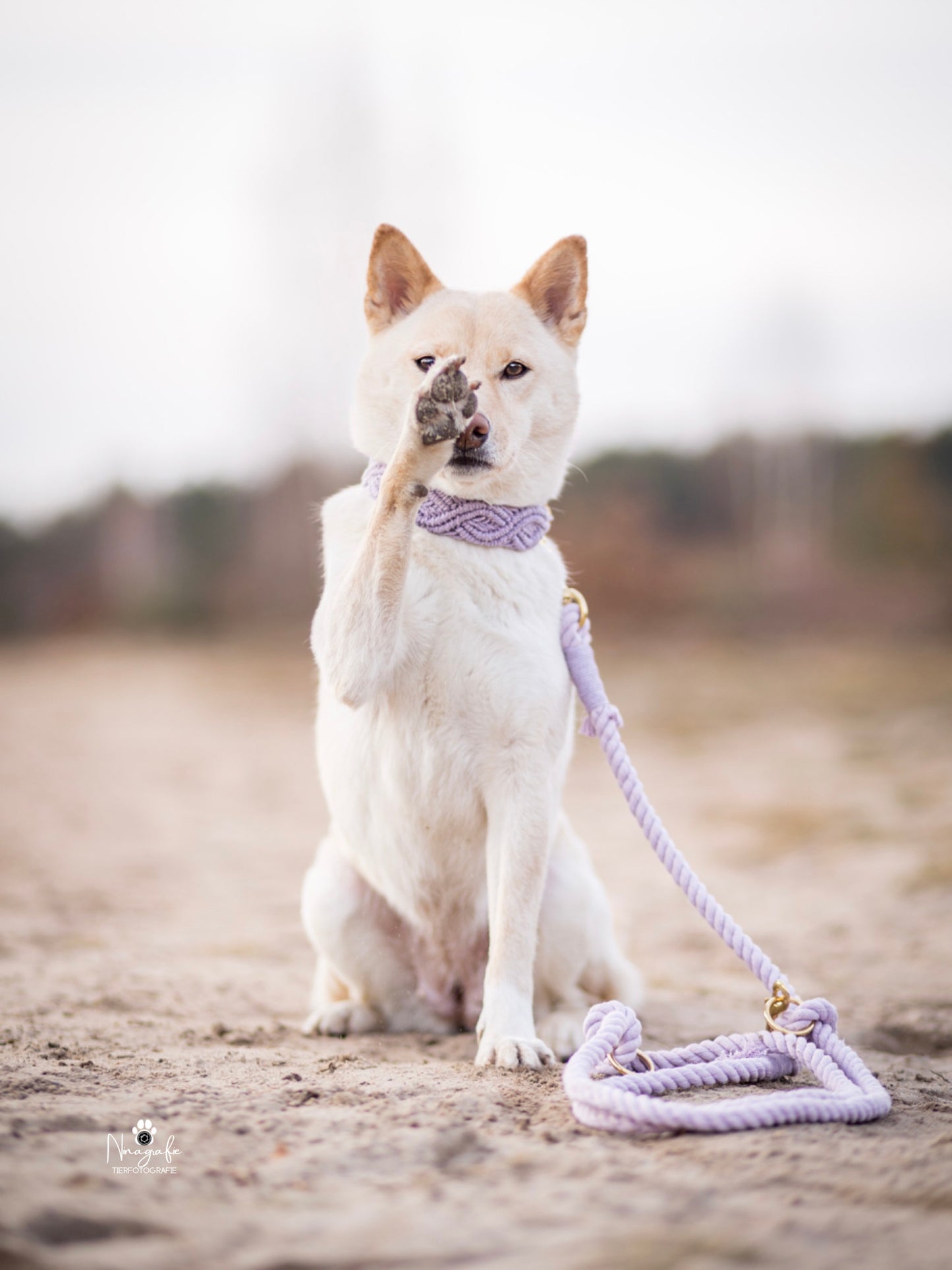 Korkypaws Kork-Baumwollset
 „Flieder Boho“