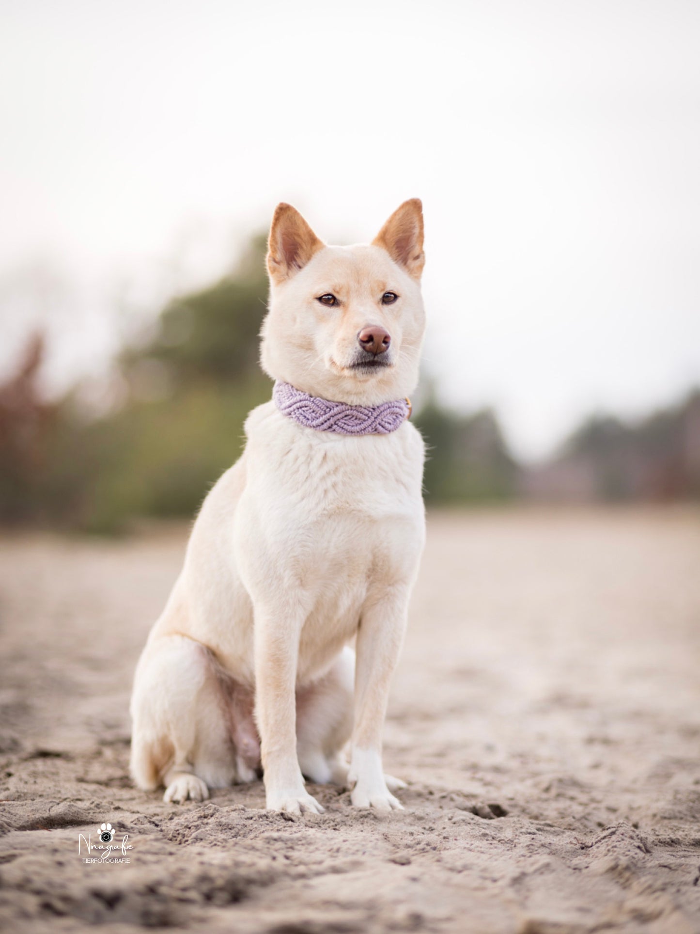 Korkypaws Kork-Baumwollset
 „Flieder Boho“