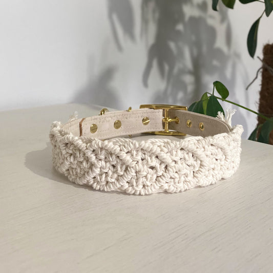 Korkypaws Kork-Baumwollhalsband „Love“