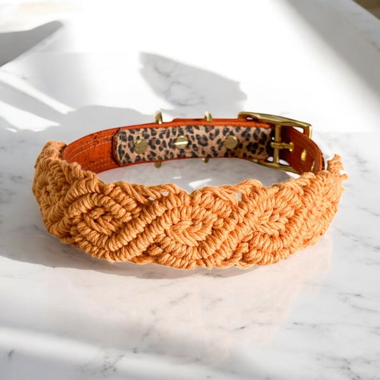 Kork-Baumwollhalsband „Leoliebe“